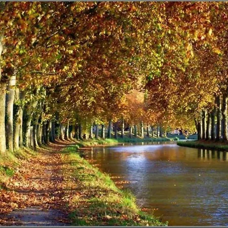 Domaine De A 600m De La Animations Piscines En Supplement Climatisee 3 5 A 7 Couchages Wifi Lrpdsg12 * 포르티하뉴